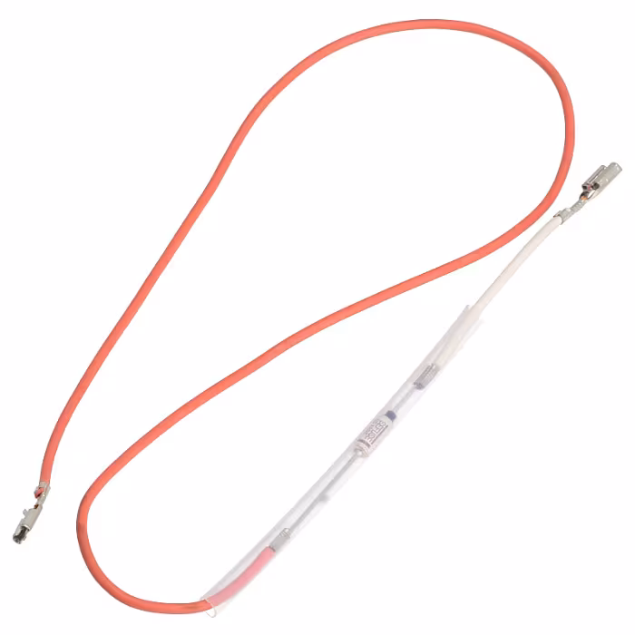 Thermosicherung 192°C DeLonghi ESAM