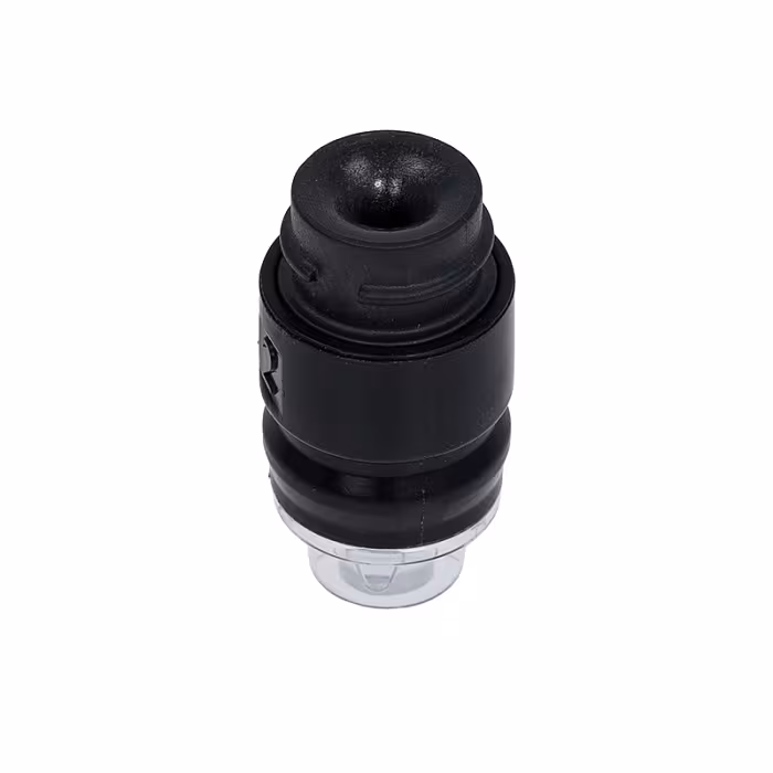 Dysza Jura — zdjęcie 2