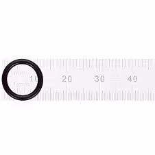 O-ring