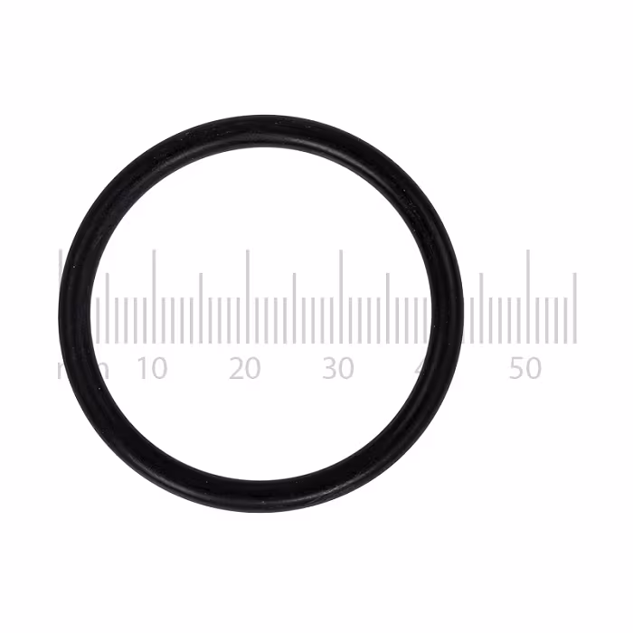 O-Ring Jura 1009