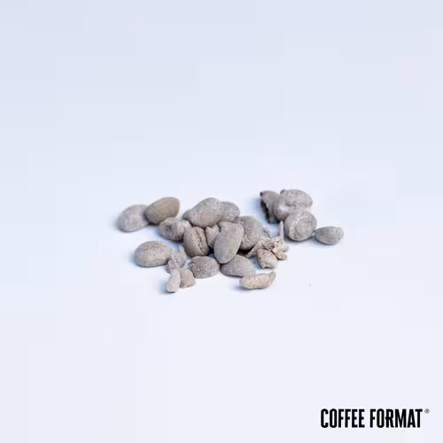 Środek czyszczący Coffee Format Grinder Cleaner+ 2 x 15g — zdjęcie 4