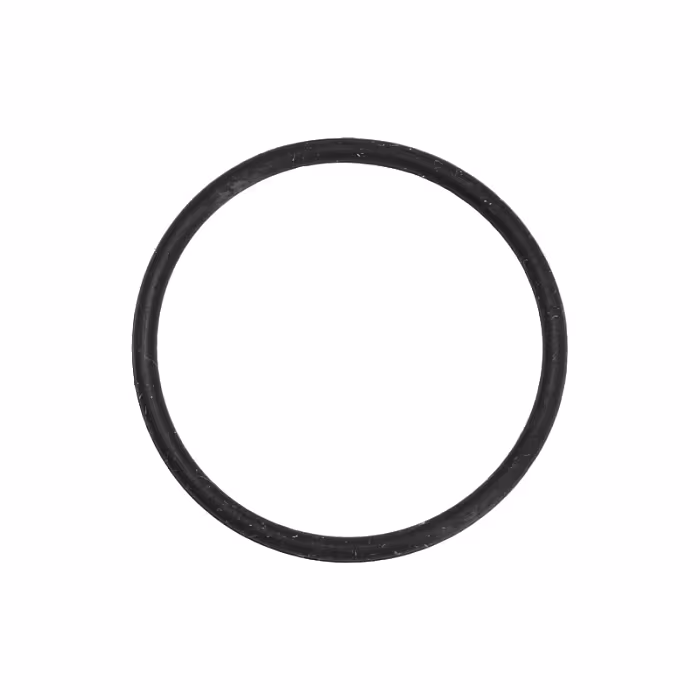 Uszczelka zasilania DeLonghi