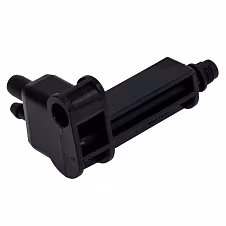 Dysza Cappuccino Jura — zdjęcie 2