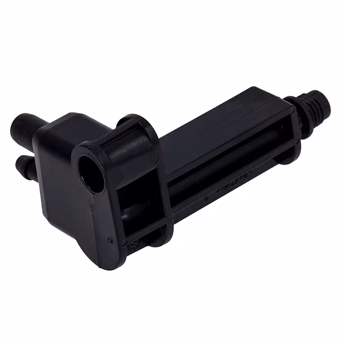 Dysza Cappuccino Jura — zdjęcie 2