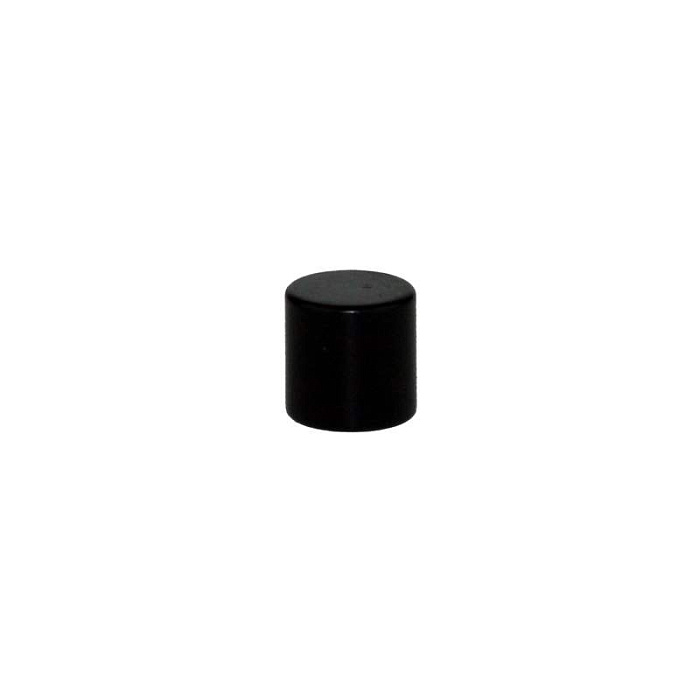 Magnet 490 D06x6mm Jura 64984