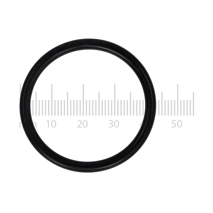 O-Ring Jura 1009 Jura 1009 — zdjęcie 1