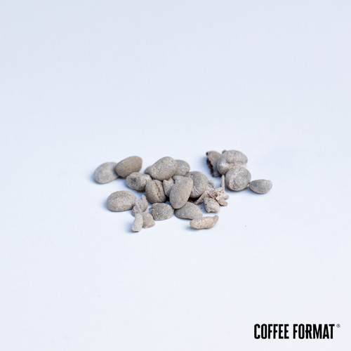 Środek czyszczący Coffee Format Grinder Cleaner+ 2 x 15g — zdjęcie 3 — zdjęcie 4