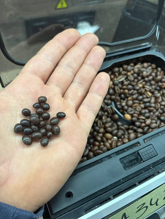 Jakość, taniość i konsekwencje – przemyślenia serwisanta