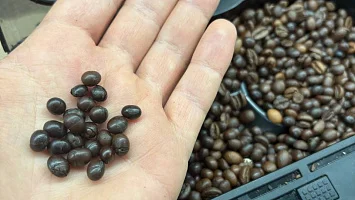 Jakość, taniość i konsekwencje – przemyślenia serwisanta