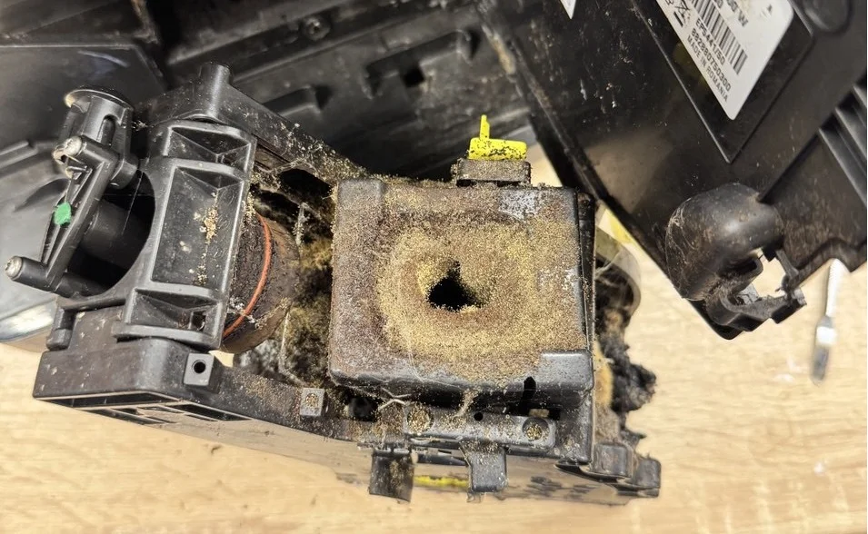 Naprawa ekspresów do kawy i klienci–fantazjoniści: komu lepiej do nas nie przychodzić