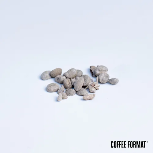 Środek czyszczący Coffee Format Grinder Cleaner+ 2 x 15g — zdjęcie 3 Środek czyszczący Coffee Format Grinder Cleaner+ 2 x 15g — zdjęcie 3 — zdjęcie 4