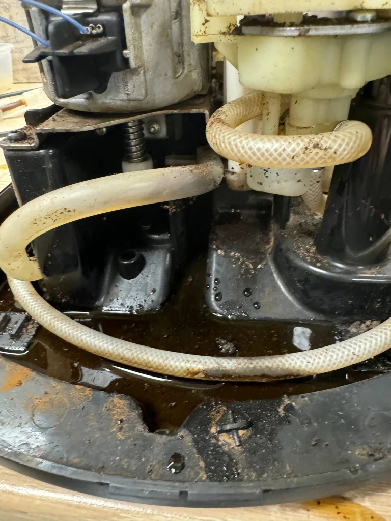 1bace6ba-dfcf-4c5c-91a7-208f62157bbc.jpg 1bace6ba-dfcf-4c5c-91a7-208f62157bbc.jpg