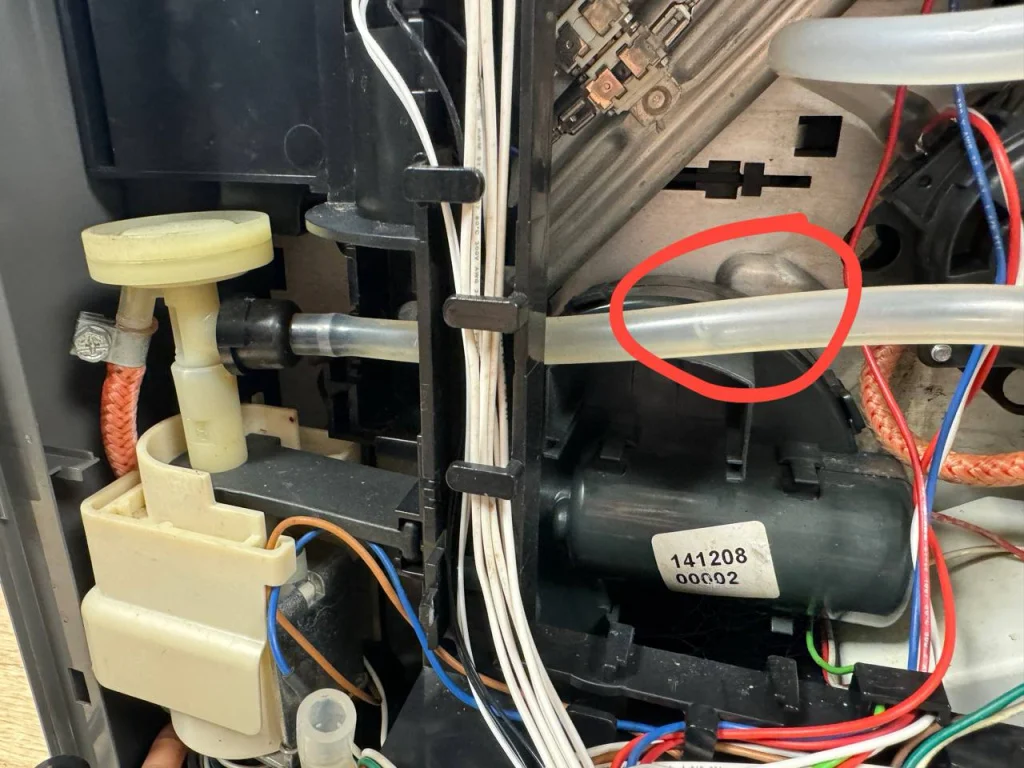 photo_2025-09-09_16-47-56.jpg photo_2025-09-09_16-47-56.jpg