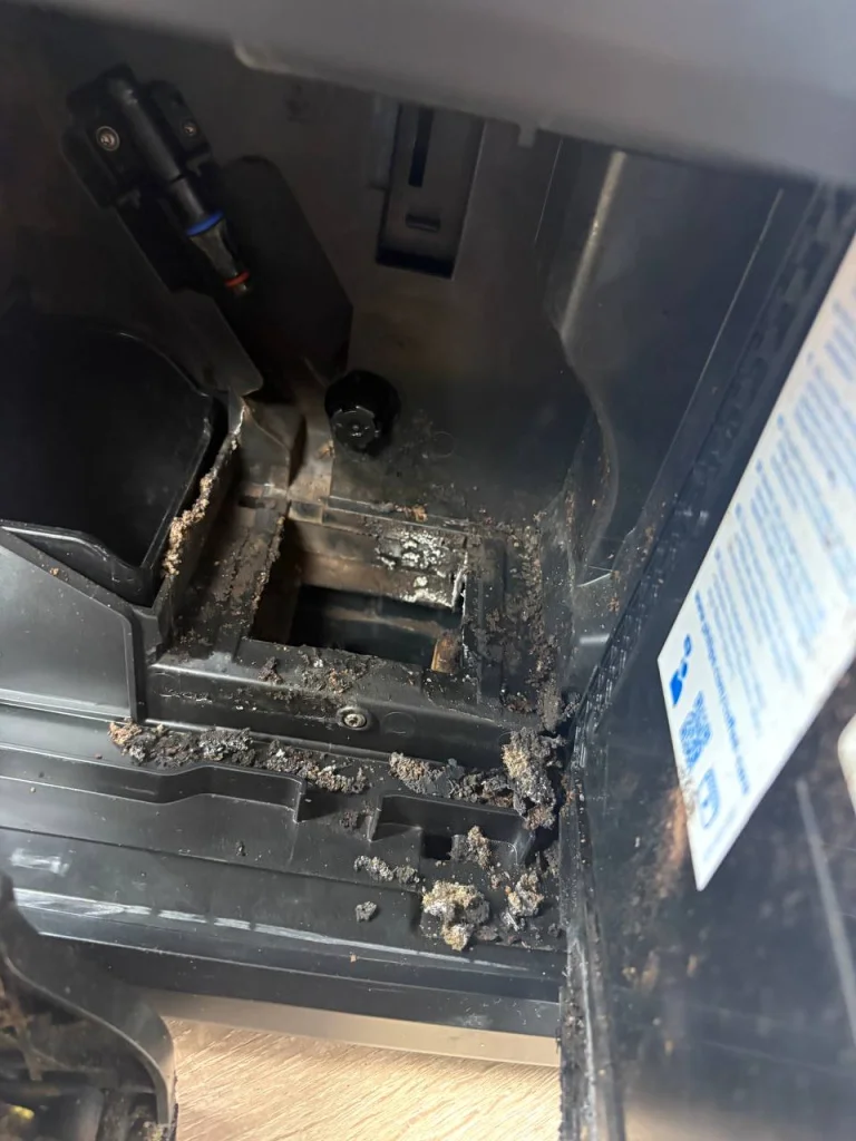 7726082f-ee6f-4f66-b6aa-1e06c42e82f4.jpg 7726082f-ee6f-4f66-b6aa-1e06c42e82f4.jpg